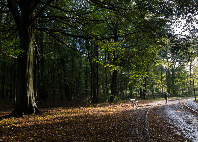 2013 10 xx, Divers 0280